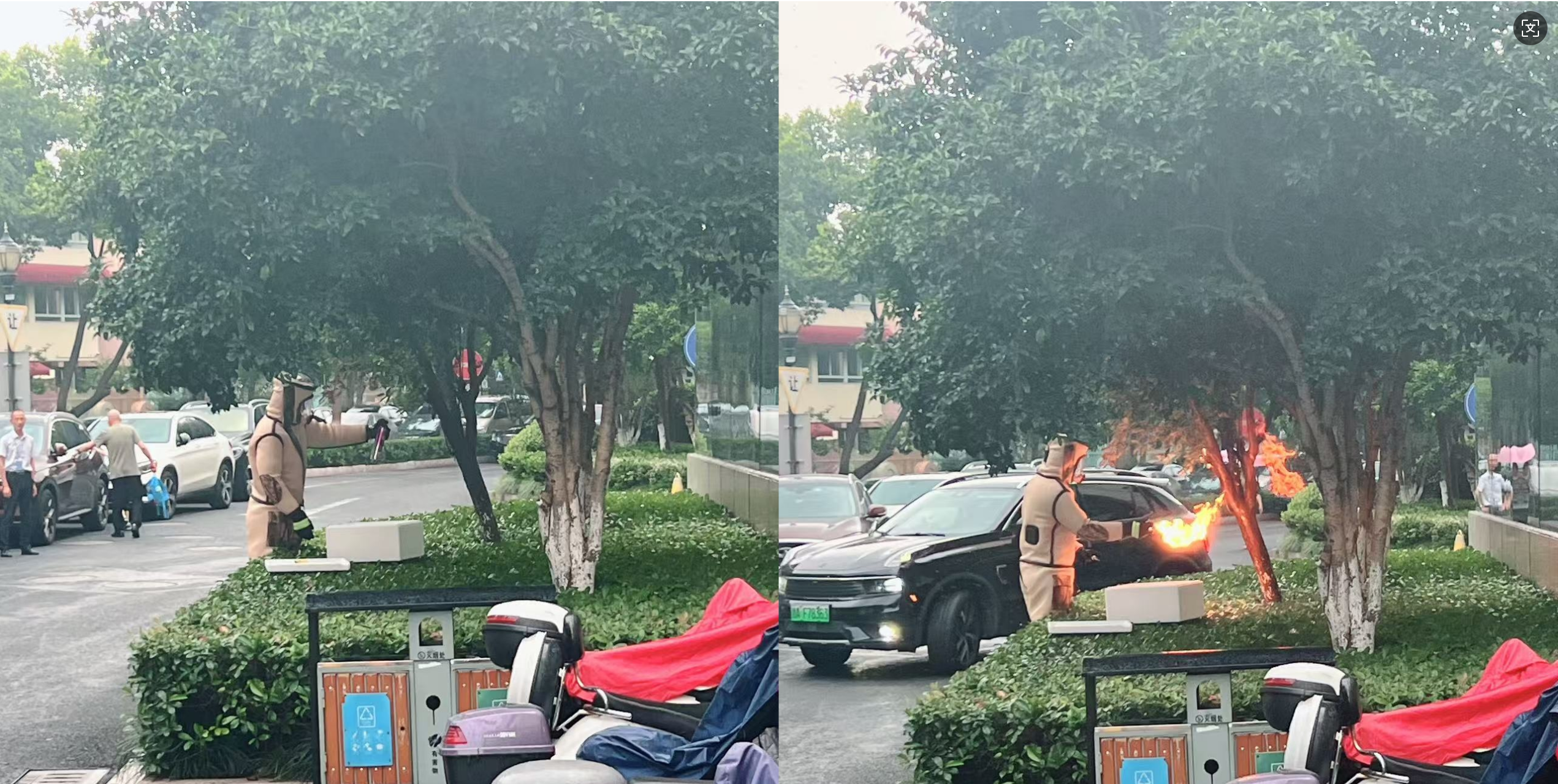 安全守護(hù)零距離，水晶城快速處置外圍蜂群隱患